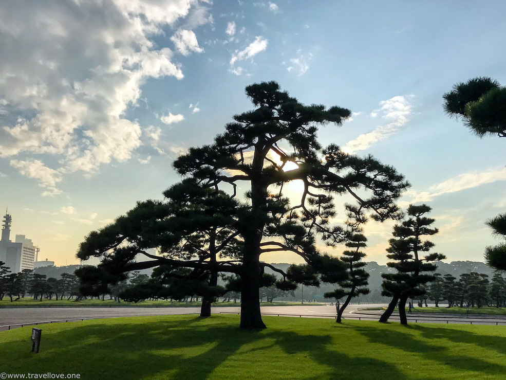 24-IMG_0617 24-IMG_0617