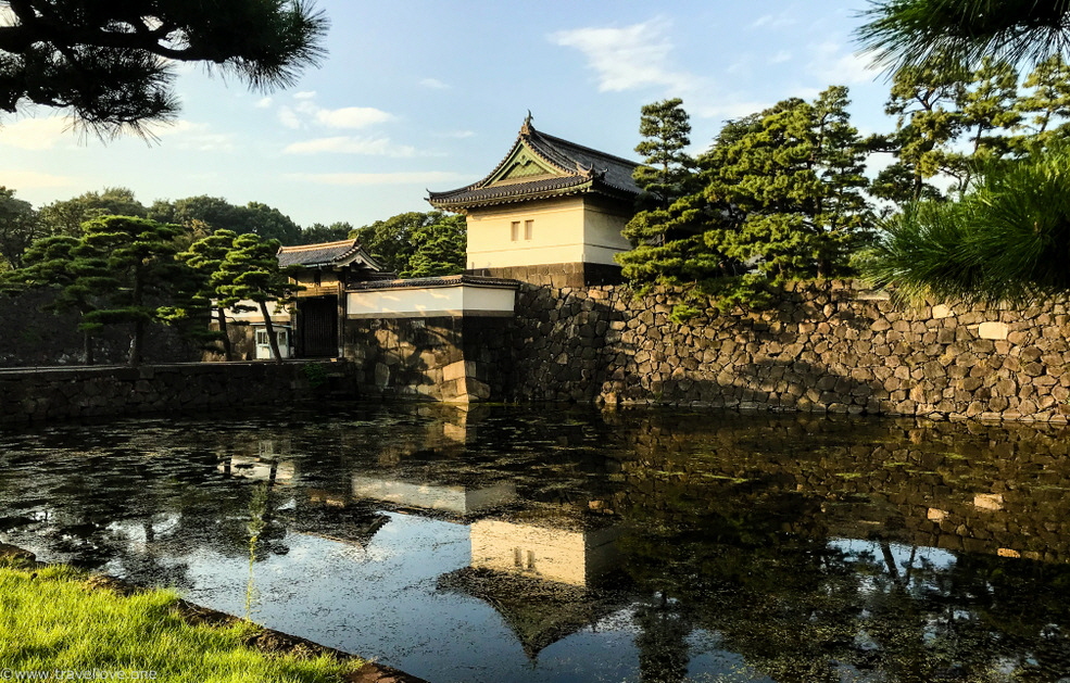 25-IMG_0618 25-IMG_0618