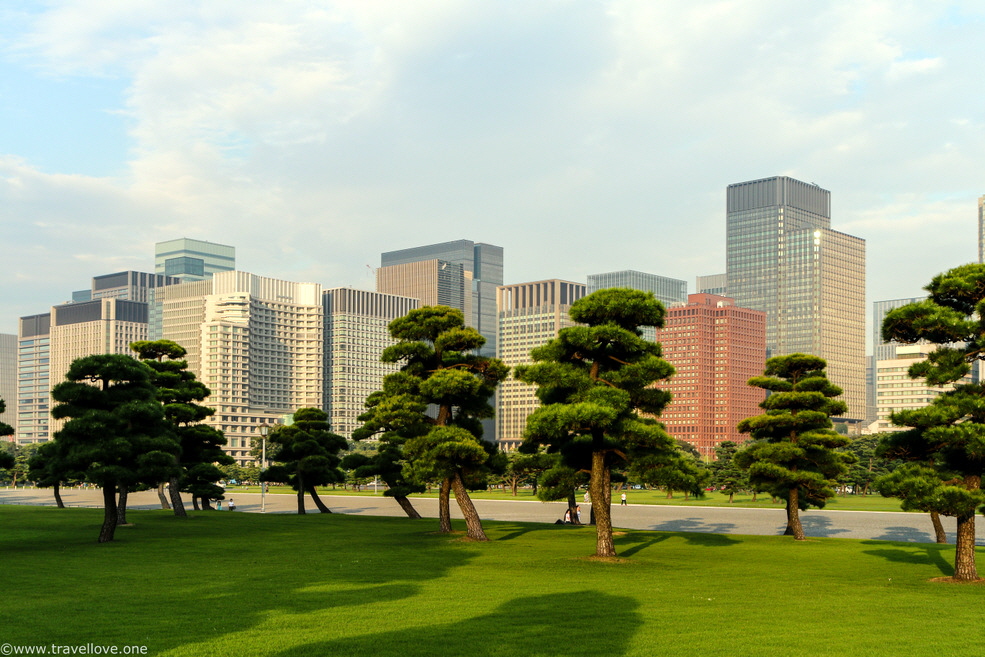 29-IMG_9802 29-IMG_9802