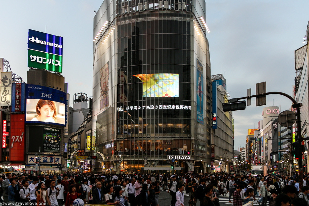 41-IMG_9819 41-IMG_9819