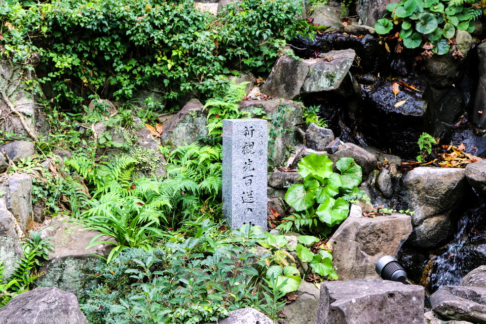 135-IMG_0837 135-IMG_0837