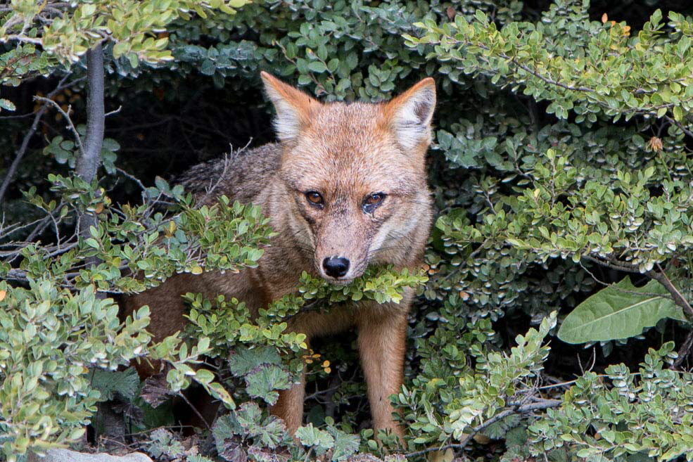 439 Ushuaia Tierra del Fuego 439 Ushuaia Tierra del Fuego