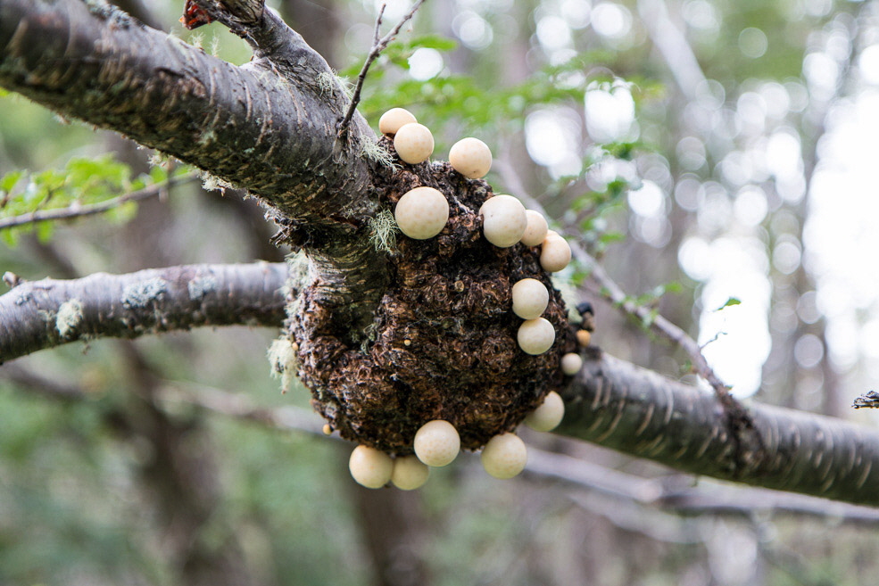 451 Ushuaia Tierra del Fuego 451 Ushuaia Tierra del Fuego