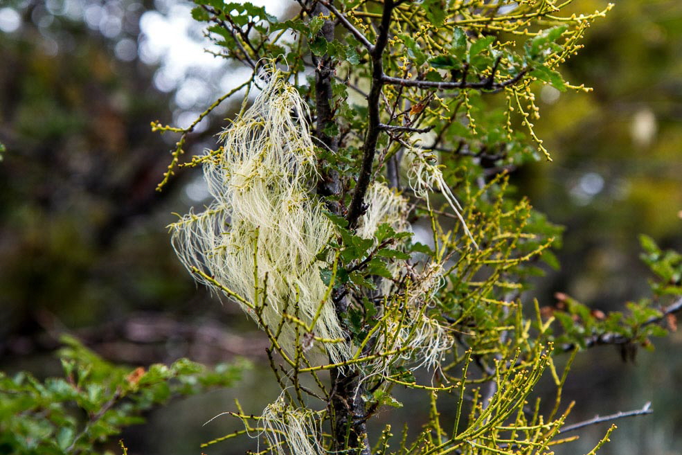 453 Ushuaia Tierra del Fuego 453 Ushuaia Tierra del Fuego