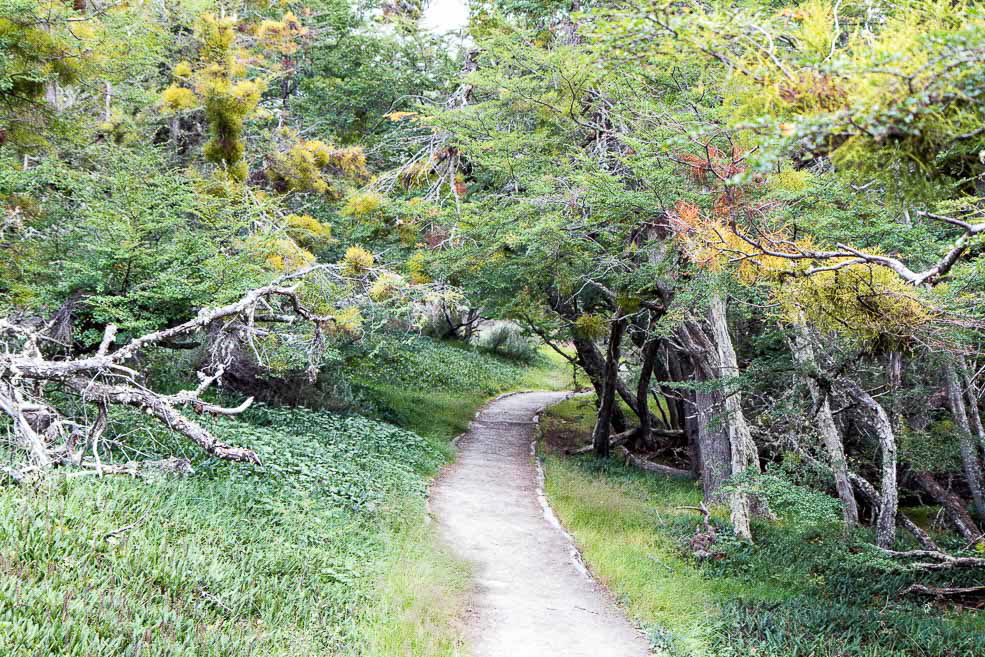 454 Ushuaia Tierra del Fuego 454 Ushuaia Tierra del Fuego