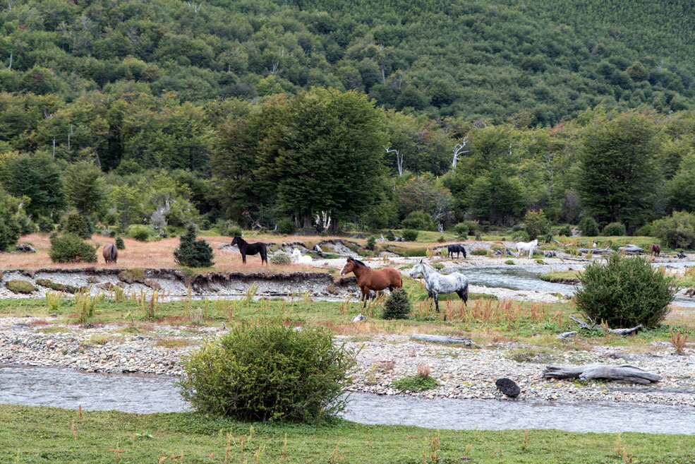 475 Ushuaia Tierra del Fuego 475 Ushuaia Tierra del Fuego