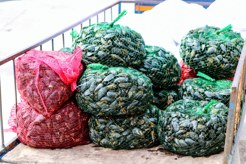 19- Dubrovnik Old Town Old Port