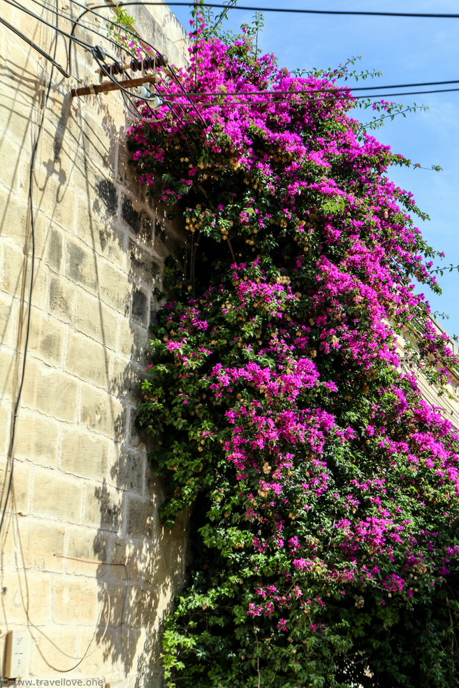 09-IMG_7028 09-IMG_7028