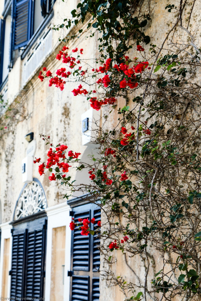 32-IMG_7068 32-IMG_7068