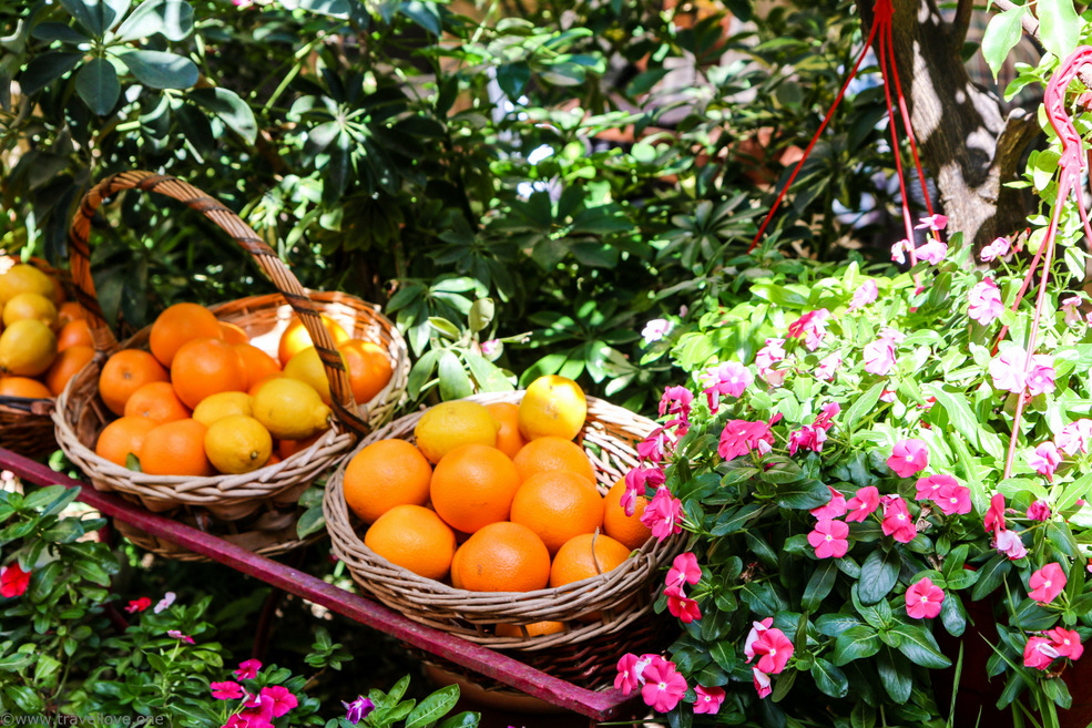 34-IMG_7073 34-IMG_7073