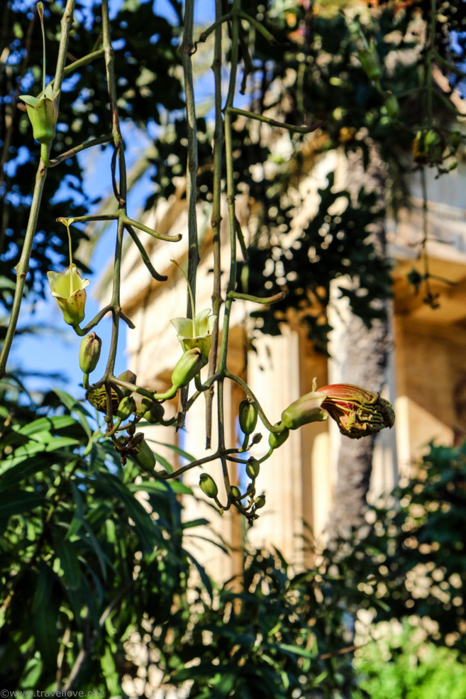 62-IMG_7134 62-IMG_7134