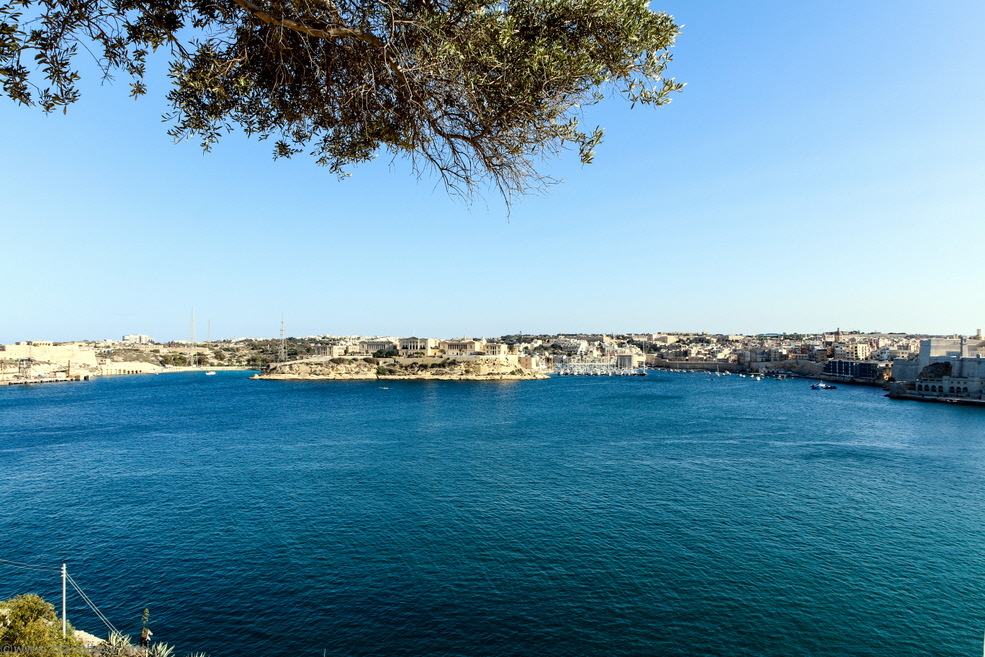 63-IMG_7128 63-IMG_7128