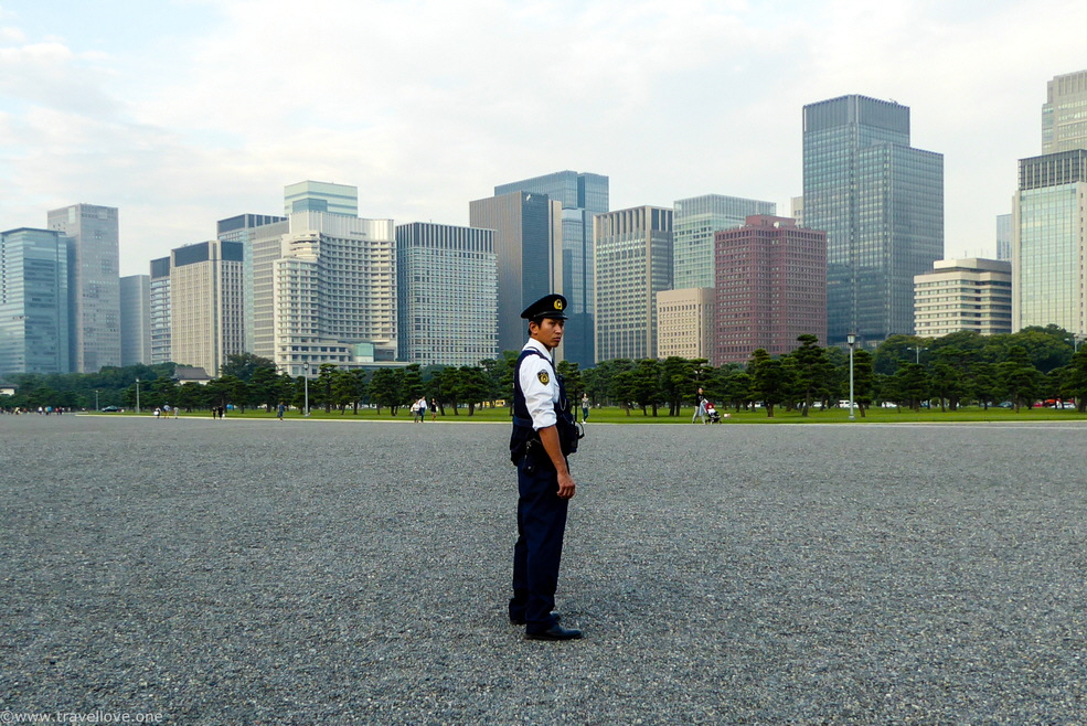 35-P1020599 35-P1020599