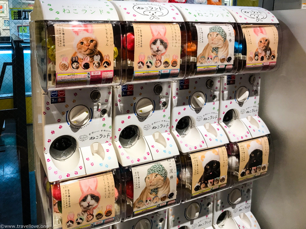 64-IMG_0654 64-IMG_0654