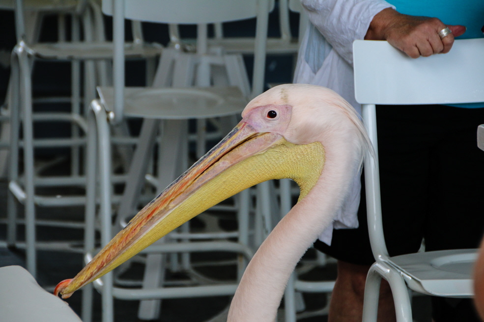 269-IMG_9384 269-IMG_9384