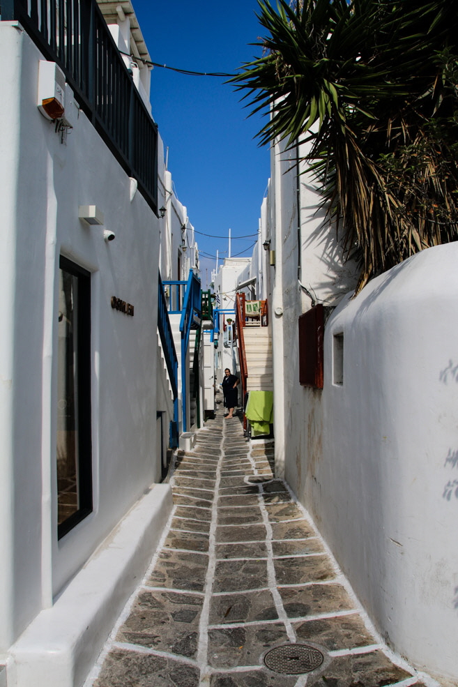 313-IMG_9471 313-IMG_9471