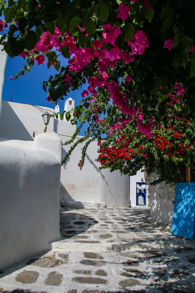 316-IMG_9562 316-IMG_9562