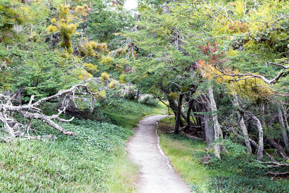 454 Ushuaia Tierra del Fuego